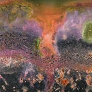 Microbial Life: A Universe at the Edge of Sight. Courtesy of Harvard Museum of Natural History