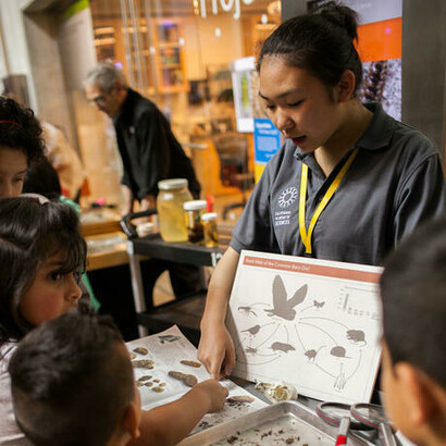 Project Lab. Courtesy of California Academy of Sciences