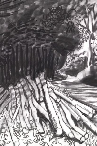 David Hockney. Courtesy of Paul Kasmin Gallery