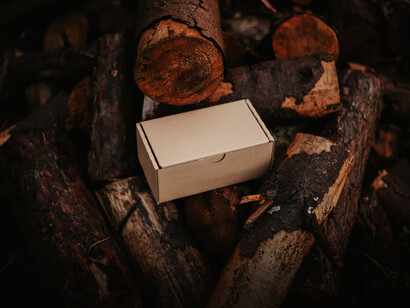 Caja de cartón entre troncos de madera
