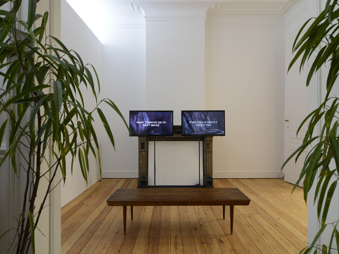 Laure Prouvost, We Know We Are Just Pixels, 2014, 2 screen video 4 min, edition of 3 + 2 AP