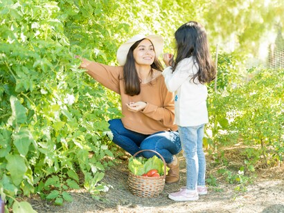 Real healthcare begins in the garden — where food, family, and love grow together