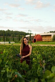 Donna nel vigneto di una azienda agricola italiana