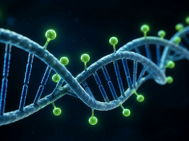 El transcriptoma es el conjunto dinámico de ARN que refleja los genes activos en la célula