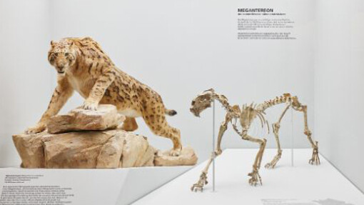 Mammoth & Sabre-Toothed Tiger. Courtesy of Naturhistorisches Museum Basel