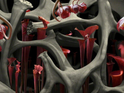 Aqua Aura. Courtesy of Luisa Catucci Gallery 