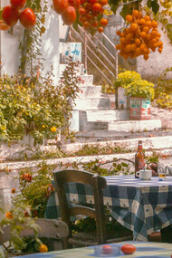 A man sitting at a table surrounded by gardens, tomatoes, plants - nature