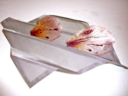 Plato creativo