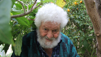 Libereso Guglielmi