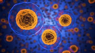Desentrañando los misterios del cuerpo humano