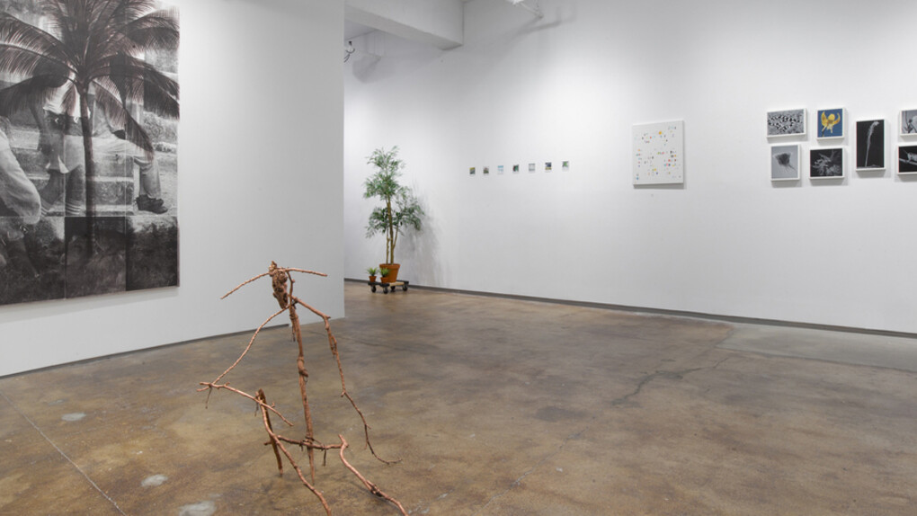 Flora/Fauna. Courtesy of Josée Bienvenu Gallery