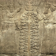 Palace Reliefs from Kalhu. Courtesy of Bowdoin Museum 