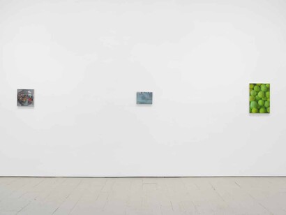 Jennifer J. Lee, The falls, exhibition view. Courtesy of Klaus von Nichtssagend Gallery