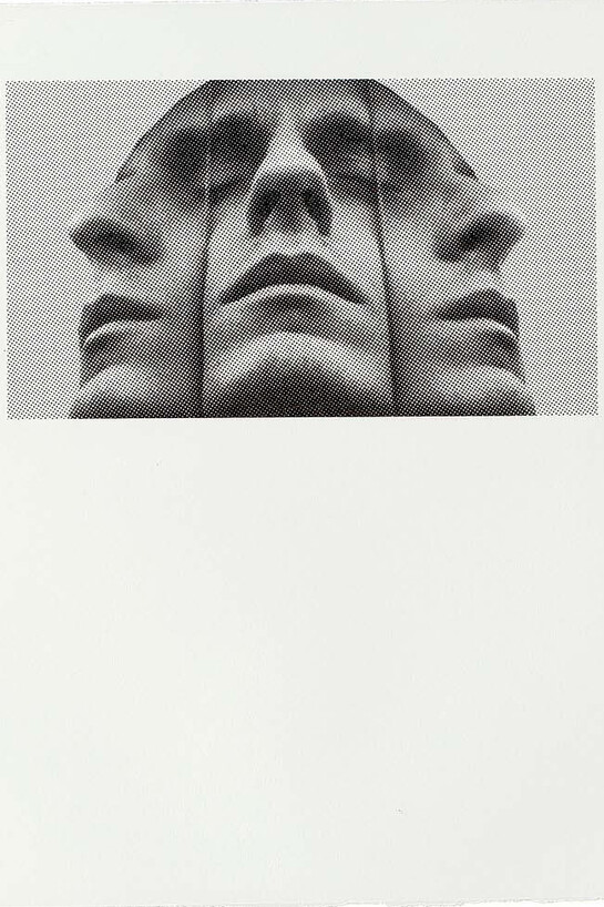 Domenico Fogliaro, Self 3, 2010