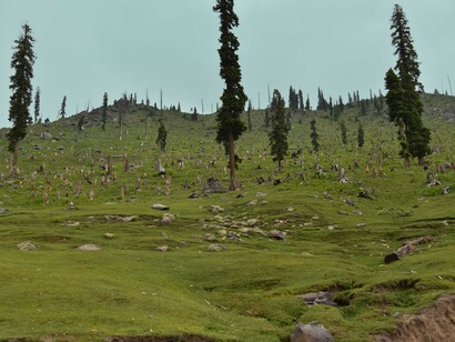 Deforestation in Kashmir Himalaya, for economic and military reasons © Ashish Kothari