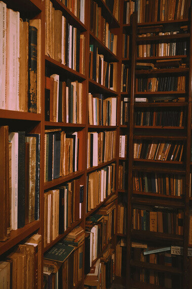 Entre la poussière et les pages dort l’écho de toutes les vies qui ne furent jamais tout à fait les nôtres