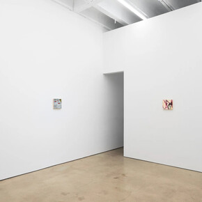 Salim Green, Paintings, exhibition view. Courtesy of François Ghebaly Gallery