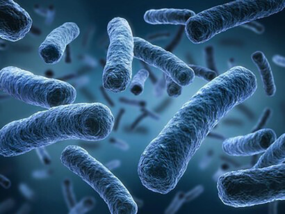 La microbiologia diventa odontoiatrica