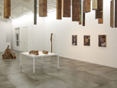 Marcelo Zocchio. Courtesy of Bolsa de Arte