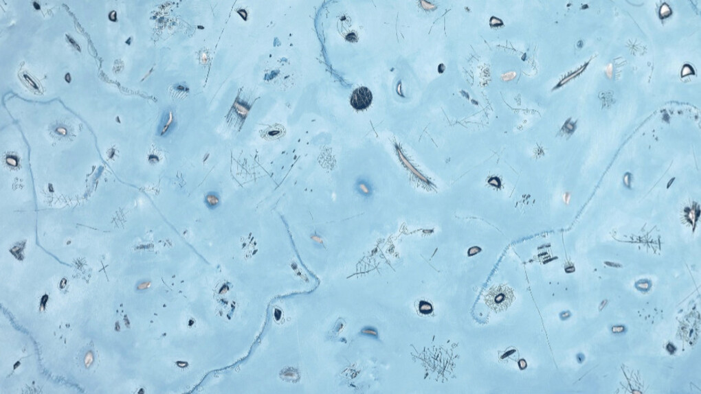 Abby Leigh. Courtesy of Johannes Vogt Gallery 