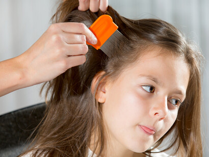 La búsqueda de piojos es una tarea ingrata para los más pequeños