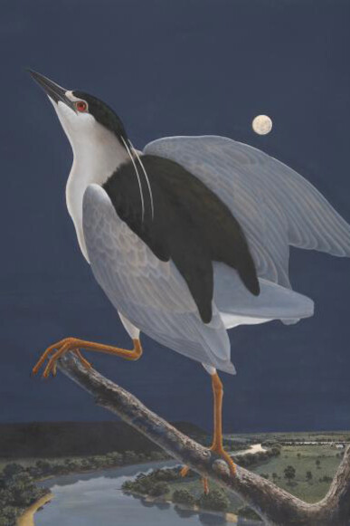 Seeing in Detail. Courtesy of Amon Carter Museum of American Art