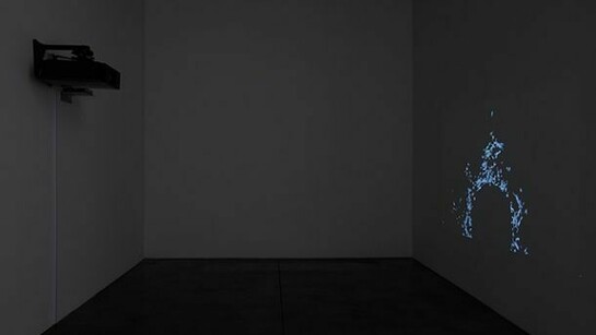 David Musgrave, Installation view