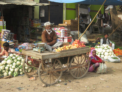 Market stall on way to River Chambal (c) Gehan de Silva Wijeyeratne