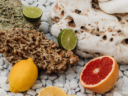 Fresh food needs to be eaten quickly before it spoils