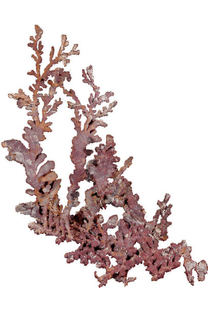 Minerals of the Earth. Courtesy of Earth and Man National Museum