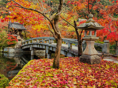 Hojas otoñales en Japón