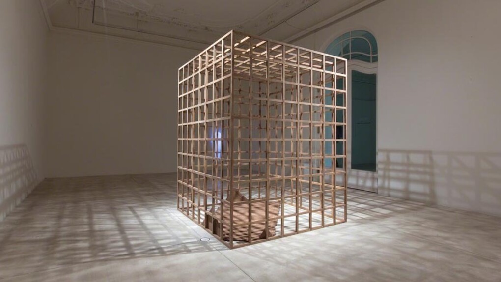 Sudarshan Shetty. Courtesy of Galerie Krinzinger