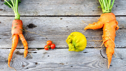 Please Love ‘Ugly’ Fruit!