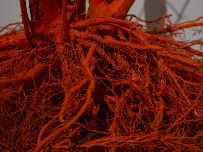 Jia-Jen Lin. Courtesy of Rubber Factory