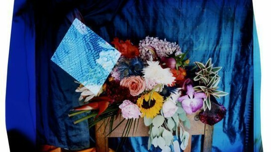 © Chloe Sells, courtesy of Michael Hoppen Contemporary