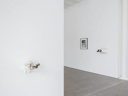 Joe Zorrilla. Courtesy of Galerie Greta Meert