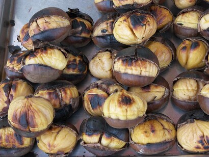 Castanea sativa, frutti arrostiti