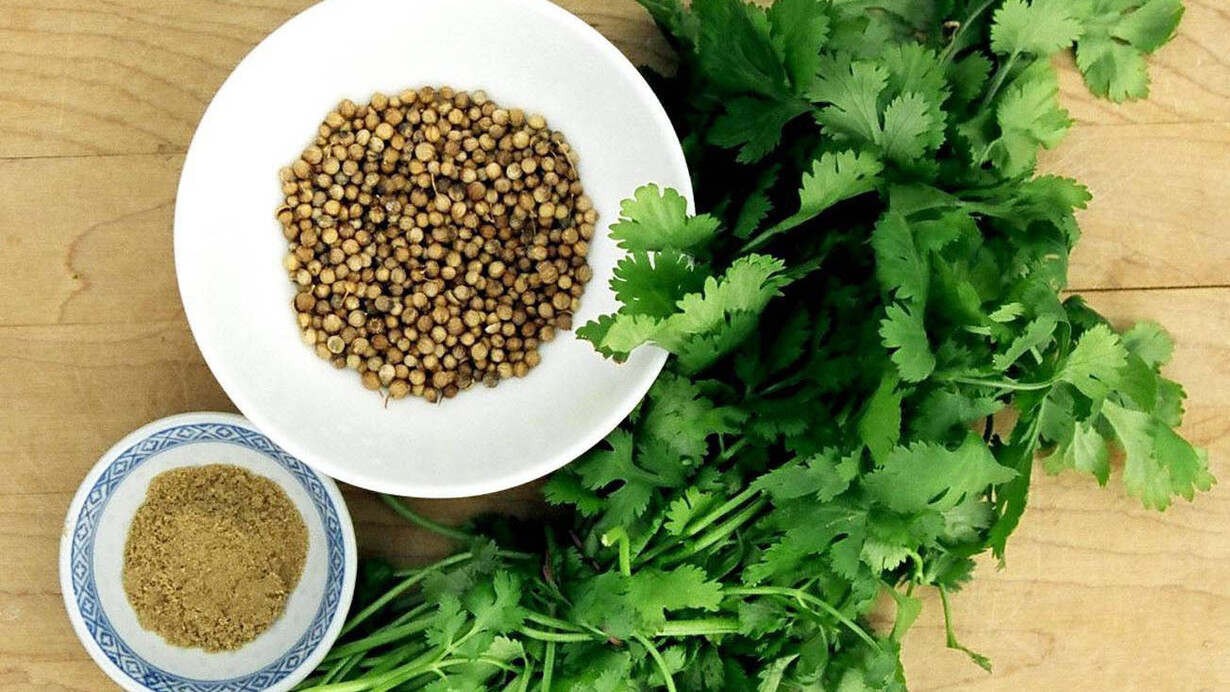 Foglie, semi e polvere di coriandolo