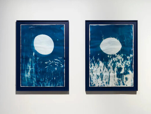 Tue Greenfort, Wunderkammer, exhibition view. Courtesy of König Galerie