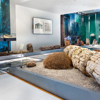 Exhibition of the Lesvos Petrified Forest, exhibition view. Courtesy of Natural History Museum of the Lesvos Petrified Forest