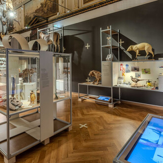 Good collecting, bad collecting, exhibition view. Courtesy of Naturhistorisches Museum Wien