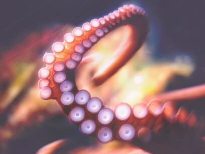 Even if starting with a small credit, but with such high interest rates, clients become permanent prisoners of the banks