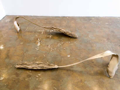 Zoe Crosher. Courtesy of Aspen Art Museum