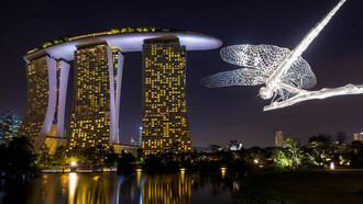 Lagos de libélulas y martín pescador 