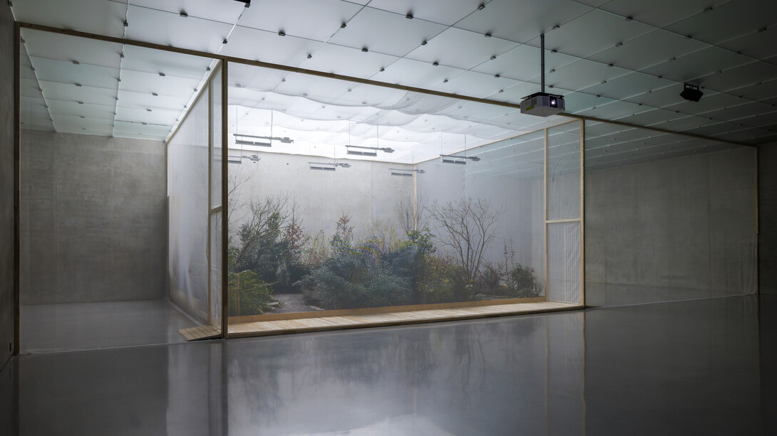 Precious Okoyomon, One either loves oneself or knows oneself, ansicht der ausstellung. Mit freundlicher genehmigung von Kunsthaus Bregenz