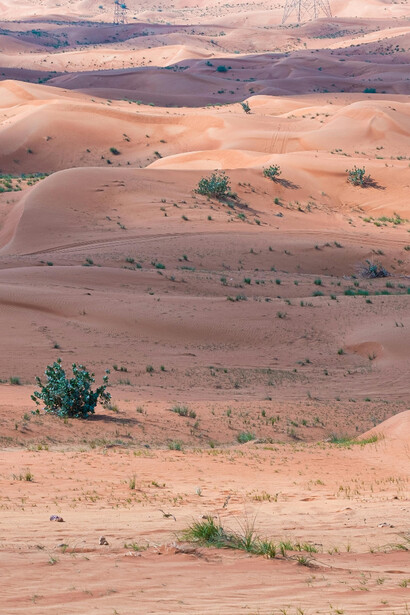 The Sahara desert and its vast sand dunes show Morocco’s sovereignty 