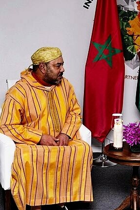 King Mohammad VI at the Africa India summit, New Dehli, India, 2015