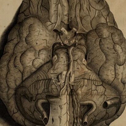 Este tumor lunar acaecido por ese accidente de dejar que la luna se cayese adentro esa noche ha metastatizado en mi cerebro