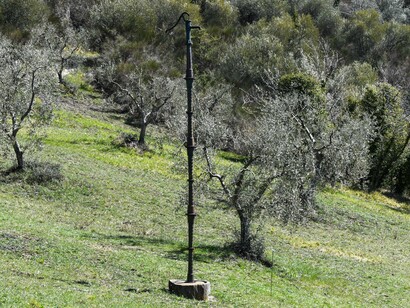 Il Giardino di Daniel Spoerri a Seggiano, Grosseto, Italia. Foto di Bernhard Holub