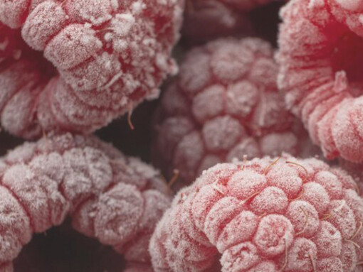 Freeze-dried fruits, such as raspberries, provide a healthy and convenient snack option, perfect for those seeking nutritious and portable choices